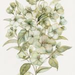 Joanna Rzeźnik - Jaśmin - 23,8x29,8cm, 2020 r