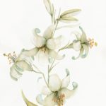 Joanna Rzeźnik - Lilia - kompozycja nr1 - 23,8x29,8cm, 2020 r