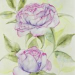 Joanna Rzeźnik - Piwonia - kompozycja nr1 - 23,7x29,8cm, 2020 r