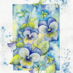 Joanna Rzeźnik - Bratki niebieski, motyw 1,4 Cykl Motywy natury - Akwarela papier 300 gm2, 23,5 x 29,5 cm, 2021 r.
