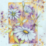 Joanna Rzeźnik Stokrotki fioletowy motyw 1,1 Cykl Motywy natury akwarela papier 300m2 23,5 x 29,5 2021