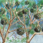 Joanna Rzeźnik - Jemioła - Cykl Motywy światła w przyrodzie, akwarela, papier, 24 x 18 cm, 2021 r