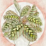 Joanna Rzeźnik - Maranta Leuconeura - Cykl Kwiaty Kolekcjonerskie, akwarela, papier, 18 x 24 cm, 2021 r