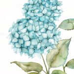Joanna Rzeznik - Błękitne hortensje - Cykl Motyw Natury, akwarela, tech własna, 21 x 29,5, 2022