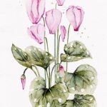 Joanna Rzeznik - Fiołek alpejski - Cykl Motyw Natury, akwarela, tech własna, 14,5 x 20,5, 2022