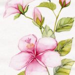 Joanna Rzeznik - Różowy Hibiskus - Cykl Motyw Natury, akwarela, tech własna, 15 x 21, 2022