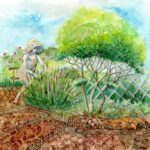 Joanna Rzeźnik - Zbierając lawendę - Cykl Kobiety - Kwiaty, akwarela, ecoline, tech. własna, papier 300gm2, 28,8 x 28,8, 2022 r